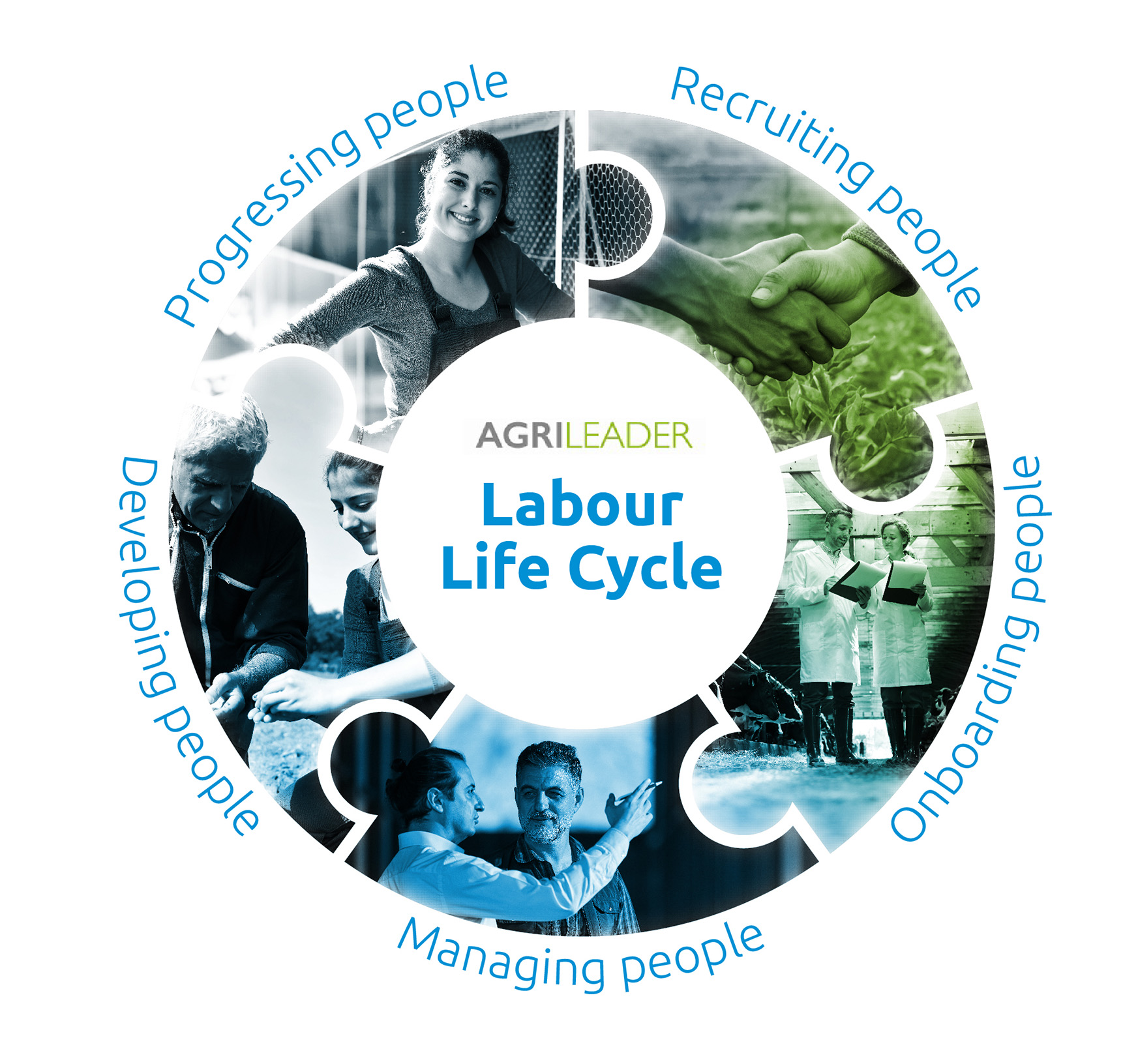 Labour Life Cycle Full
